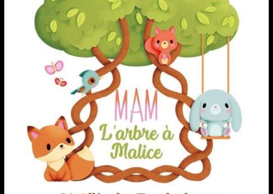 présentation MAM