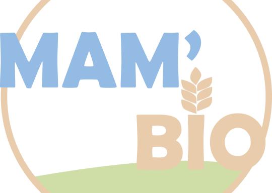 présentation MAM