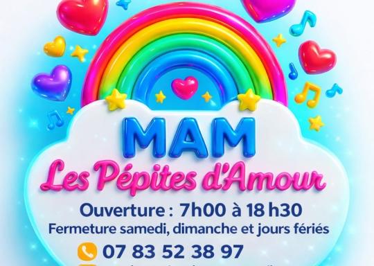 présentation MAM