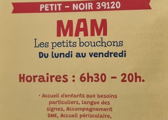 présentation MAM