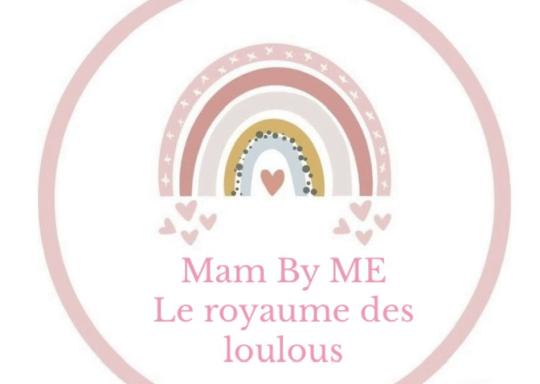 présentation MAM