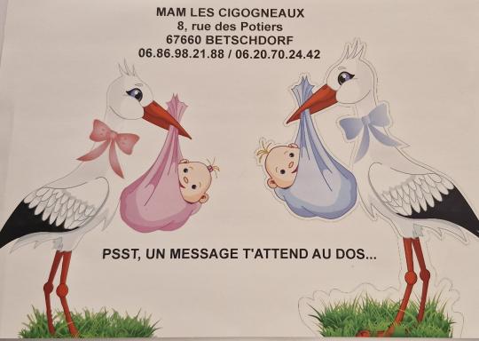 présentation MAM